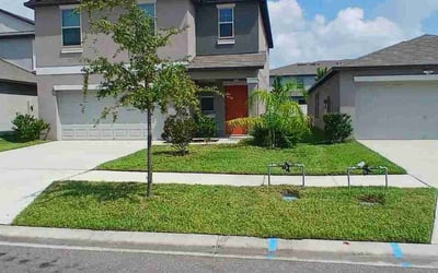 Photo of Jeanne D.'s yard after getting lawn care in Clinton, TN