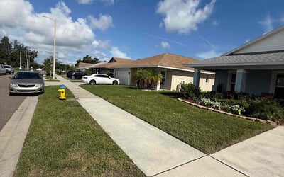 Photo of Erica C.'s yard after getting lawn care in Turlock, CA