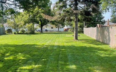 Photo of Michelle G.'s yard after getting lawn care in Fraser, MI