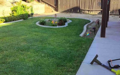 Photo of Chris R.'s yard after getting lawn care in Lancaster, CA