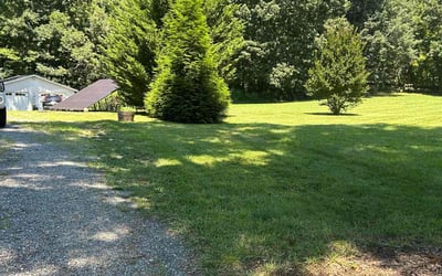 Photo of Olivia L.'s yard after getting lawn care in Cedar Rapids, IA