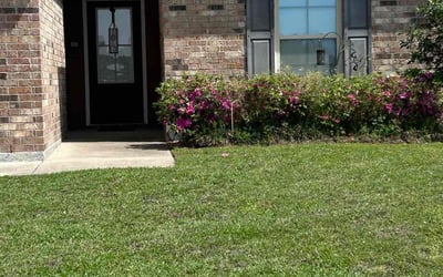 Photo of Scott H.'s yard after getting lawn care in Bedford, TX