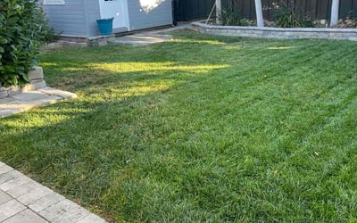 Photo of Sandra T.'s yard after getting lawn care in San Jose, CA