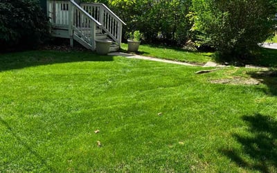 Photo of jenna c.'s yard after getting lawn care in Worcester, MA