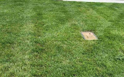 Photo of Leanne P.'s yard after getting lawn care in Smyrna, TN