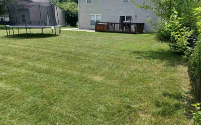Photo of Treasa L.'s yard after getting lawn care in Pell City, AL