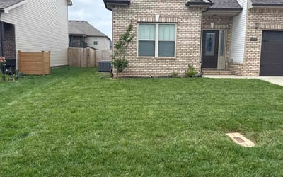 Photo of Susan M.'s yard after getting lawn care in Moline, IL