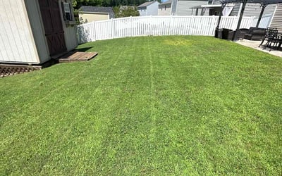 Photo of Teri B.'s yard after getting lawn care in Latham, NY