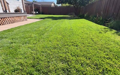 Photo of Sohail N.'s yard after getting lawn care in San Jose, CA