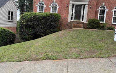 Photo of Robert V.'s yard after getting lawn care in Medford, OR