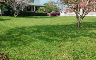 Photo of Laura M.'s yard after getting lawn care in Clinton, TN