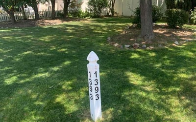 Photo of Carrie J.'s yard after getting lawn care in Spanish Fork, UT