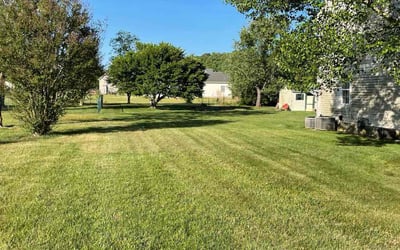 Photo of Susan D.'s yard after getting lawn care in Salisbury, MD