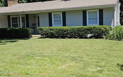 Photo of Tyrone R.'s yard after getting lawn care in Highland, UT