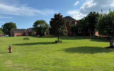 Photo of Colette E.'s yard after getting lawn care in Nolensville, TN