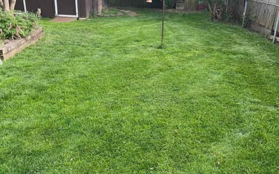 Photo of Nena R.'s yard after getting lawn care in Canal Winchester, OH