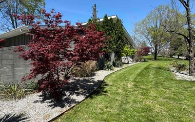 Photo of Penelope B.'s yard after getting lawn care in Nashville, TN