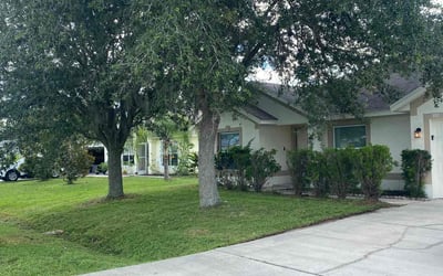 Photo of Amanda M.'s yard after getting lawn care in Sonoma, CA