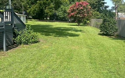 Photo of Patricia S.'s yard after getting lawn care in Browns Mills, NJ