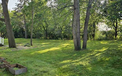 Photo of Ivy T.'s yard after getting lawn care in Apple Valley, MN