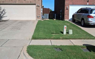 Photo of Therese M.'s yard after getting lawn care in Seguin, TX