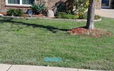 Photo of Erica B.'s yard after getting lawn care in Red Oak, TX