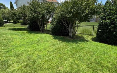 Photo of Stefanie H.'s yard after getting lawn care in Bryan, TX