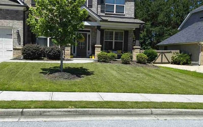 Photo of Zoe P.'s yard after getting lawn care in Dacula, GA