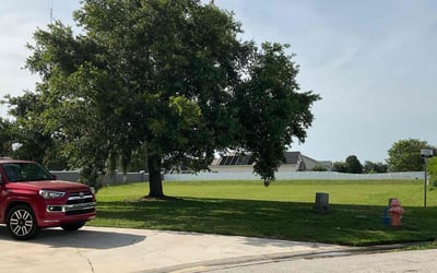 Photo of Christopher M.'s yard after getting lawn care in Mulberry, FL