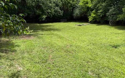 Photo of Gregory N.'s yard after getting lawn care in West Des Moines, IA