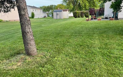 Photo of Ronnie B.'s yard after getting lawn care in Geneva, NY