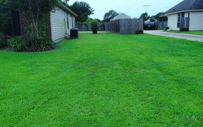 Photo of Lawrence T.'s yard after getting lawn care in Haverhill, MA