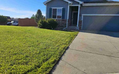 Photo of Royal D.'s yard after getting lawn care in Zimmerman, MN