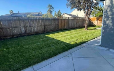 Photo of Ann A.'s yard after getting lawn care in San Jose, CA