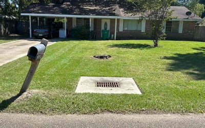 Photo of Cathy S.'s yard after getting lawn care in Mandeville, LA