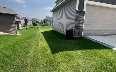 Photo of Matthew D.'s yard after getting lawn care in Mount Pleasant, SC