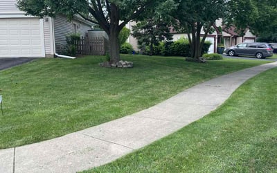 Photo of Corey D.'s yard after getting lawn care in Carol Stream, IL
