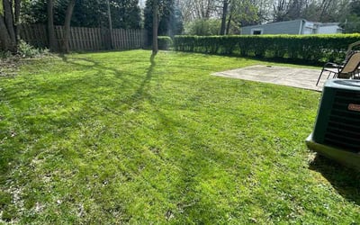 Photo of Sophia M.'s yard after getting lawn care in Lagrange, OH