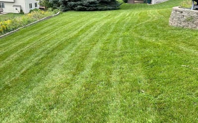 Photo of Ron S.'s yard after getting lawn care in Big Lake, MN
