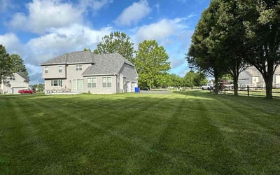 Photo of Deborah R.'s yard after getting lawn care in Centennial, CO