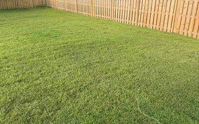 Photo of Ingrid I.'s yard after getting lawn care in Niles, IL