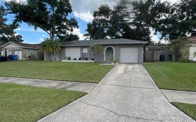 Photo of Rodney W.'s yard after getting lawn care in Valrico, FL