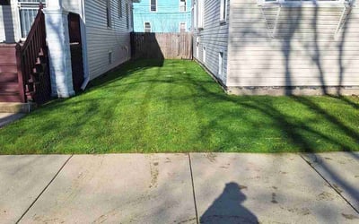 Photo of Tracy F.'s yard after getting lawn care in Cary, IL