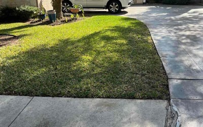 Photo of Liz W.'s yard after getting lawn care in Tempe, AZ