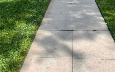 Photo of Kyle H.'s yard after getting lawn care in Van Nuys, CA