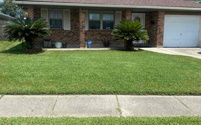Photo of Katie G.'s yard after getting lawn care in Anderson, IN