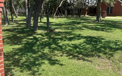 Photo of Alejandro G.'s yard after getting lawn care in San Marcos, TX