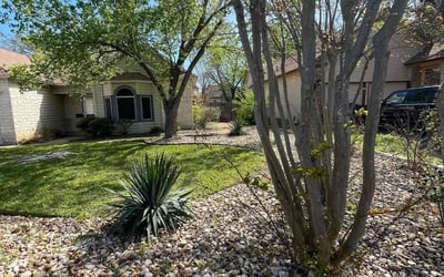 Photo of ajay antony k.'s yard after getting lawn care in Grass Valley, CA