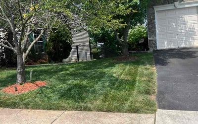 Photo of Beth B.'s yard after getting lawn care in Bristow, VA