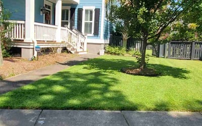 Photo of Taryn M.'s yard after getting lawn care in Cape Coral, FL
